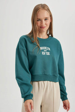 Толстый толстый свитшот Cool Oversize с круглым вырезом - Defacto фото 5