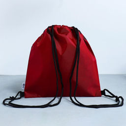 Сумка для обуви Кеды, 2 секции, 41х31 см - Artfox study фото 4