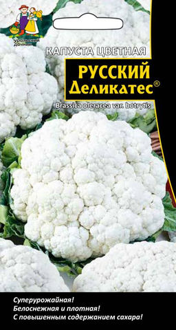 Капуста цветная РУССКИЙ ДЕЛИКАТЕС  Снежно-белая, текстура тонкая, нежная! Вкус потрясающий! Очень хороша для фритюра и заморозки! Масса 1,2 кг!