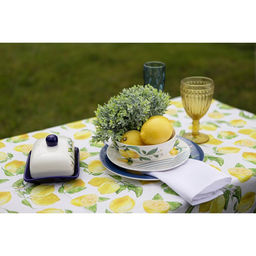 Маслёнка Доляна «Лимон», 17×12×8,5 см, доломит, белая