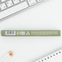 Ручка шариковая, пластик 23 февраля - Artfox фото 12