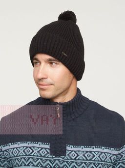 Шапка 202-8396. 08 черный