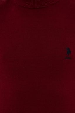 U. S. Polo Assn Мужской базовый трикотажный свитер бордового цвета с водолазкой - U.s. polo assn фото 6