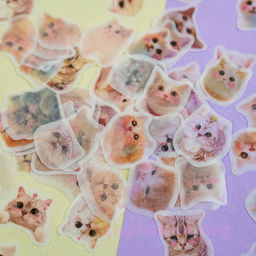 Набор наклеек Face cat - Купи слона фото 2