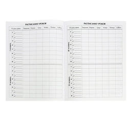 Дневник школьный для 1-11 классов, «Девочка со скейтом», твёрдая обложка 7БЦ, глянцевая ламинация, 40 листов