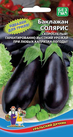 Баклажан СОЛЯРИС  Гарантированно урожайный! Скороспелый! Переносит любые капризы погоды!