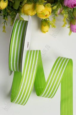 Лента репсовая 2,5 см*20 ярд "Полоска" SF-1312, фисташковый