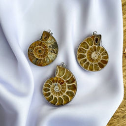 Кулон из Аммонита в оправе