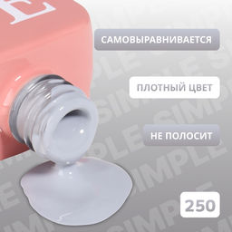 Гель лак для ногтей, однотонный, трехфазный, 10 мл, LED/UV, серый (250)