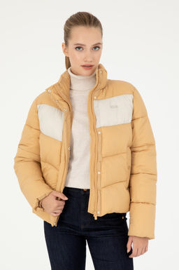 Kad_n Camel Mont
