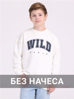 свитшот 1ПДСД3977335