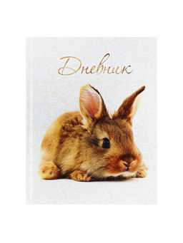 Цена за 2 шт. Дневник школьный для 1-11 классов, «Заяц», твёрдая обложка 7БЦ, глянцевая ламинация, 40 листов