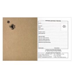 Дневник школьный арт. 60252 КОСМОВОИН - Феникс+ фото 4