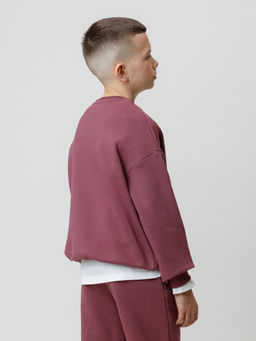 КР 302802/коричневый 1614 к634 джемпер (свитшот) для мал