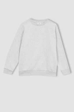 Толстый базовый свитшот для мальчиков с круглым вырезом - Defacto фото 6