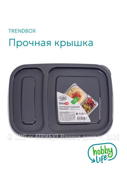 Контейнер пищевой TRENDBOX, серый, две секции, с крышкой, прямоугольный - Hobby Life фото 5