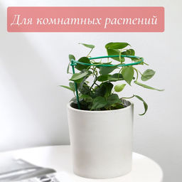 Цена за 10 шт. Кустодержатель для клубники, d=20 см, h=25 см, ножка d=0.3 см, металл, зелёный, Greengo  фото 3