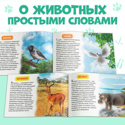 Обучающие книжки набор 6 шт. Узнаём про всё вокруг, 108 животных и птиц - Буква-Ленд фото 8
