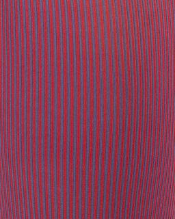 Колготки женские Mini  Napoletano COLORS 100(микрофибра полоски контрастные)