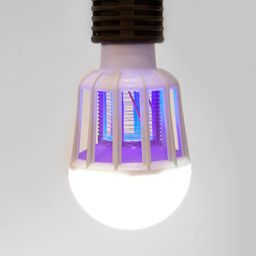 LED-А75-10W/6500К/E27/FR/MKL Лампа-ловушка светодиодная для летающих насекомых, матовая. 2 режима: 6500K+UV и UV. TM Volpe