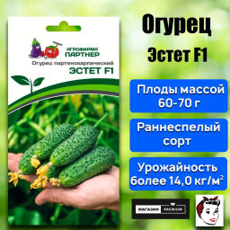 Огурец партенокарпический Эстет - Партнер фото 2