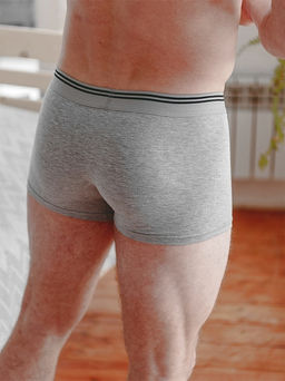 Трусы Боксеры ТР-1-серые - Ihomelux фото 2