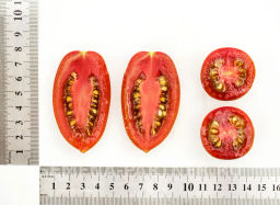 Томат Черри Дюкре - Партнер фото 6