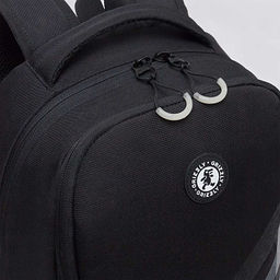 RB-651-9 Рюкзак школьный с картхолдером на держателе - Grizzly фото 6