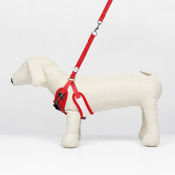 Комплект с мягкой шлейкой и бантиком Клетка, размер M, поводок 120 x 1,5 см, ОГ 28-46 см - Пижон фото 2