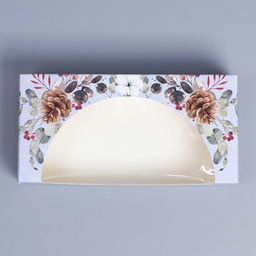 Цена за 5 шт. Коробка складная «Новогодняя ботаника», 20 x 10 x 5 см