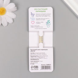 Растущий карандаш подарочный «Мята», mini, простой чернографитный