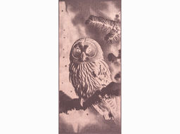 Полотенце махровое 6с102.411ж1 Фото-сова(т.с.мальв1) 67х150см