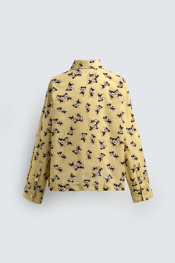 MORTY + FERDY SHIRT HARRY LAMBERT FOR ZARA X DISNEY  фото 2