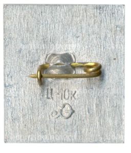 Значок Ботный домик