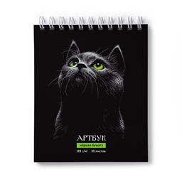 Светоч А307 Артбук (Скетчбук), блок чёрный, жесткая подложка, 120 г/м2 175*200 мм на гребне 30 л. 2 шт. Нуар 01942