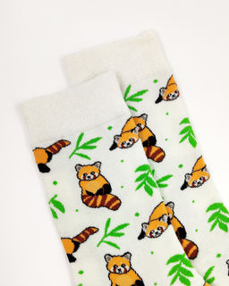 Носки р.35-40 Cute Animals Енот - Krumpy фото 2