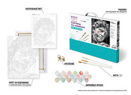 ФРЕЯ PNB/PM-276 Набор для раскрашивания по номерам 40 х 30 см Давид с граффити  фото 5