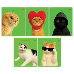 Тетрадь 48л. BG "Во как!" клетка (Т5ск48_вл 06841) выб. лак