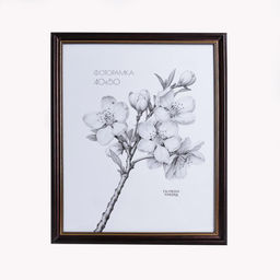 Фоторамка 40х50 / CH603-4 /