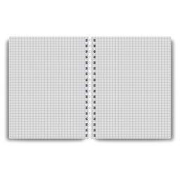 Светоч Т208 Тетрадь общая с пластик. обложкой, ч/б запечат. титульн.лист, 180 мкм., A5 48 л. на гребне 65 г/кв.м , белизна 100 % 4 шт. клетка 01546 Тайны природы, лайм  фото 8