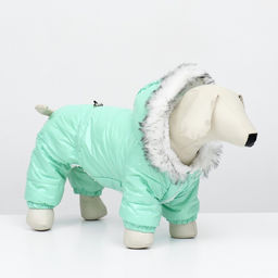 Комбинезон Глянец, размер XS (ДС 19, ОГ 28, ОШ 19 см, до 3 кг), мятный