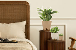 Горшок для цветов InGreen WOOD D200мм 4л с прикорневым поливом молочный шоколад/бук IG610110047