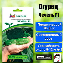 Огурец пчелоопыляемый Чечель - Партнер фото 2