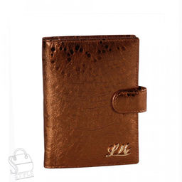 Обложка 52916B Lison Kaoberg в Новосибирске