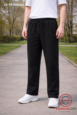 Спортивные брюки мужские