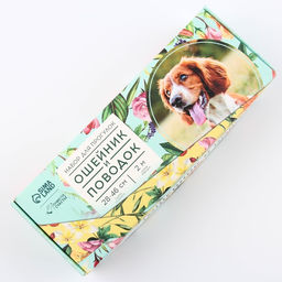 Набор Цветы, застёжка - фастекс, поводок 2 м и ошейник 28-46 см - Пушистое счастье фото 2