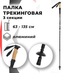 Палка для скандинавской ходьбы ONLITOP, телескопическая, 3 секции, до 135 см, цвет чёрный