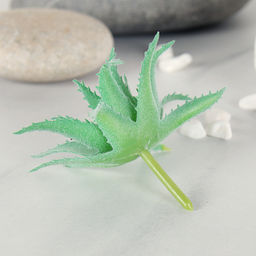 Суккулент искусственный 8х6,5 см / GN115 /уп 100/ - Галеонтрейд фото 2