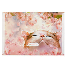 Цена за 2 шт.Папка для школьных тетрадей пластиковая Феникс+, арт. 69016/ 12 ЦВЕТОЧНЫЙ КОТ