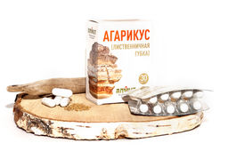 Грибная серия БАД Капсулы "Агарикус" Алфит 1233